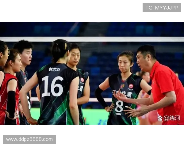 男排改革正当时:向女排看齐,构建青训新生态 男排改革正当时:向女排看齐,构建青训新生态